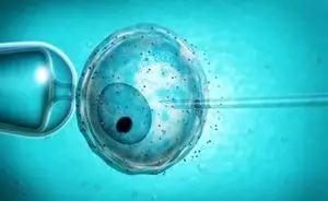 供卵代怀生男宝代生包成功
